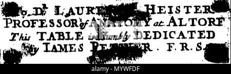 . Inglese: Fleuron dal libro: Aquatilium animalium Amboin?, &c. icones & nomina. Contenenti vicino a 400 figure, engraven su piastre di rame Crustaceous Aquatick e Testaceous animali; come aragoste, aragoste, gamberi e gamberetti, Sea-Urchins, uova, pulsanti, stelle Couries, Concks, Perywinkles, conchiglia, ostriche, muscoli, cardidi, fronzoli, fa le fusa, Capesante con subacquei altri tipi di Mare e Fiume Shell-Fish; tutti trovati circa Amboina, e la vicina Indian Shores, con loro in latino, inglese e olandese e i nomi dei nativi. Da Giacomo Petiver, speziale; F. R. S. Londra. 373 Aquatilium animalium Amboin Fleuro Foto Stock