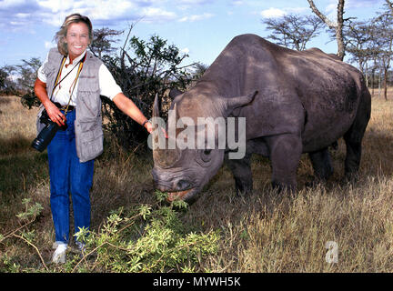 Un turista femminile su safari nel 1992 pone con Morani a domare rinoceronte nero sollevato dal personale dell'Sweetwaters Game Reserve che è ora il Ol Pejeta Conservancy in Kenya, Africa orientale. Il famoso santuario è la casa di 111 in bianco e nero e 23 rinoceronte bianco, compresi gli ultimi due del nord il rinoceronte bianco sulla terra. Morani è stato tra i primi rinoceronti a portato al rifugio e trascorso 19 anni della sua vita come Ol Pejeta di ambasciatore per le specie in via di estinzione fino alla sua morte per cause naturali nel 2008. Foto Stock