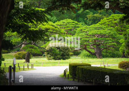 Tokyo, Giappone - 22 Luglio 2017: il giardino Hamarikyu (Hama-rikyu Teien Onshi), un parco pubblico di Chuo, Tokyo, Giappone. Situato alla foce del Sumida R Foto Stock