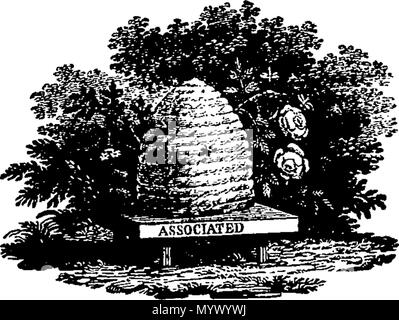 . Inglese: Fleuron dal libro: Aforismi e riflessioni sugli uomini, la morale e le cose. Tradotto da MSS. di J. G. Zimmerman. Con note critiche ed esplicative. 371 Aforismi e riflessioni sugli uomini, la morale e le cose Fleuron T137207-2 Foto Stock