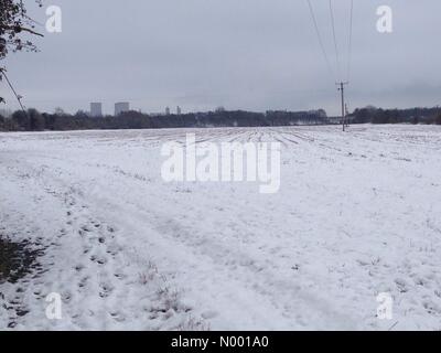 Steventon, UK. 3 febbraio, 2015. Meteo REGNO UNITO: campo coperto di neve dopo una notte di nevicata copre Oxfordshire. Credito: BradleyOrpin / StockimoNews/Alamy Live News Foto Stock