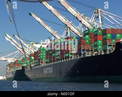 San Pedro, California, Stati Uniti d'America. 15 Feb, 2015. Nave Container lungo sciopero shoremen Credito: Ann taglio/StockimoNews/Alamy Live News Foto Stock