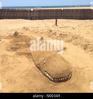 Ayamonte, Spagna. Il 3 giugno, 2015. Shark la scultura di sabbia sulla spiaggia di Isla Canela, l'area della spiaggia per Ayamonte, Andalusia. Credito: CBCK-Christine / StockimoNews/Alamy Live News Foto Stock