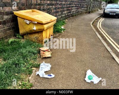 Oxford, Oxfordshire, Regno Unito. 02Luglio, 2015. Non così bella vista panoramica. Cestino a sinistra porta a Prato, Oxford dopo il giorno più caldo dell'anno. Prato Porta è antica commonland e un posto popolare per i momenti di relax. Credito: Sidney Bruere/StockimoNews/Alamy Live News Foto Stock