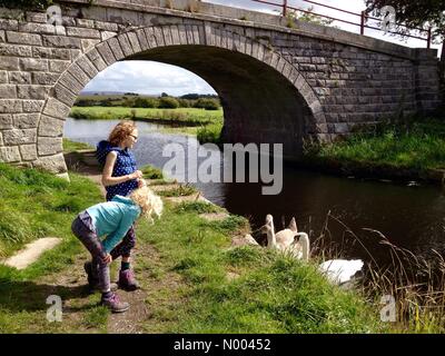 Regno Unito Meteo soleggiato ma ventoso a Glasson Dock vicino a Lancaster nel Lancashire. Due giovani ragazze guardando i cigni su Lancaster canal. Foto Stock