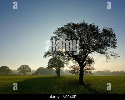 Meteo del Regno Unito il 2 novembre. Sunny inizio alla giornata di Adlington in Lancashire. Foto Stock