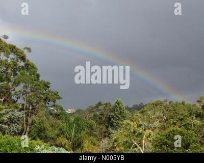 Clopton Dr, Killara NSW, Australia. 06 feb 2016. Sydney, Australia - 6 February 2016: un arcobaleno visto il riempimento del cielo dopo la doccia la mattina ha colpito il sobborgo di Sydney Killara. Credito: mjmediabox/StockimoNews/Alamy Live News Foto Stock