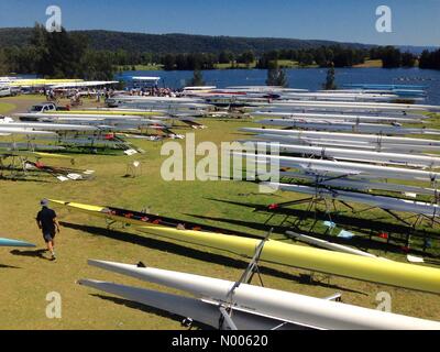 Castlereagh Rd, Castlereagh NSW, Australia. Xiii Febbraio, 2016. Sydney International Regatta Centre (costruito per le Olimpiadi del 2000) ospita il Nuovo Galles del Sud i campionati di canottaggio. Nella foto è raffigurato il concorso di barche. Credito: mjmediabox/StockimoNews/Alamy Live News Foto Stock