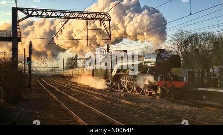 Londra, Regno Unito. Il 25 febbraio, 2016. Il Flying Scotsman sulla sua "ritorno alle piste" gestito da London King's Cross a York, visto la cottura a vapore verso Alexandra Palace Station di Londra Nord Credito: Steve brillante / StockimoNews/Alamy Live News Foto Stock