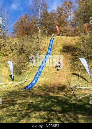 Dumfries, Dumfries and Galloway, UK. Xix Mar, 2016. Ae Forest, Dumfries Scozia - 19 Marzo 2016: Regno Unito meteo- glorioso giorno di primavera sulla pratica giorno per la prima gara della SDA (scozzese in discesa Association) stagione. Credito: Kay Roxby/StockimoNews/Alamy Live News Foto Stock