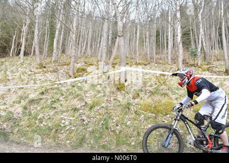 Innerleithen, Scozia - 23 Aprile 2016: Regno Unito meteo: un giorno asciutto in Innerleithen in Scottish Borders sul giorno di pratica della SDA in discesa in mountain bike #2 Credito: Kay Roxby / StockimoNews/Alamy Live News Foto Stock