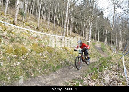 Innerleithen, Scotland, Regno Unito - 23 Aprile 2016: Regno Unito meteo: un secco ma freddo giorno di confini scozzesi per il giorno di pratica per il round 2 della SDA downhill mountain bike race. Credito: Kay Roxby / StockimoNews/Alamy Live News Foto Stock