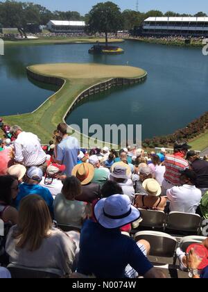 Ponte Vedra Beach, Florida, Stati Uniti d'America. 14 Maggio, 2016. La folla attendono il primo golfista al diciassettesimo foro a giocatori torneo di golf al TPC Sawgrass di sabato 14 maggio, 2016 in Ponte Vedra Beach, Florida, Stati Uniti d'America. Credito: Allen al Go / StockimoNews/Alamy Live News Foto Stock