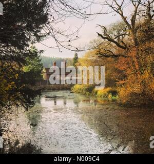 Shere Rd, Albury, Guildford, Regno Unito. 24 Novembre, 2016. Regno Unito meteo 24 Novembre 2016: Brisk nord venti da est ha portato a secco e condizioni luminose alla Home Counties. La silenziosa piscina vicino a Albury nel Surrey. Credito: jamesjagger/StockimoNews/Alamy Live News Foto Stock