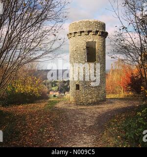 North Downs vicino a Dorking, Surrey, Regno Unito. 24 Novembre, 2016. Regno Unito: Meteo Brisk nord venti da est ha portato a secco e condizioni luminose alla Home Counties. Box Hill sulla North Downs vicino a Dorking in Surrey. Credito: jamesjagger/StockimoNews/Alamy Live News Foto Stock