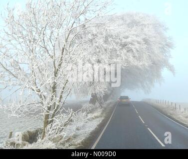 Stirlingshire, Scotland, Regno Unito. 25 Novembre, 2016. Bella la brina in Stirlingshire, Scotlan Credit: © Kay Roxby / StockimoNews/Alamy Live News Foto Stock