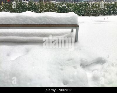 Montréal, Québec, Canada. 12 Dic, 2016. Montreal, QC, Canada. Il 12 dicembre 2016. Un sistema di pressione bassa dalla Great Lakes darà tra 10 e 15 cm di neve con locale importi superiori a 15 cm al di sopra del Sud e Centrale di Québec oggi. Credit: Ali Alshammasi/StockimoNews/Alamy Live News Foto Stock