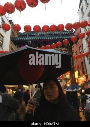 Londra, Regno Unito. 29 gen, 2017. Anno Nuovo Cinese e il nuovo Anno del Gallo ha celebrato a Londra in Chinatown. Credito: Emin Ozkan / StockimoNews/Alamy Live News Foto Stock
