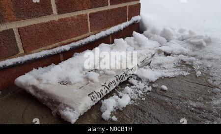 Grove St, Stamford, Connecticut, Stati Uniti d'America. 09Feb, 2017. New York Times ha consegnato a domicilio in tempesta di neve Credito: balbert3/StockimoNews/Alamy Live News Foto Stock