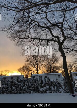 Park Ave, Merrick, New York, Stati Uniti d'America. 09Feb, 2017. Blizzard slam Long Island, con oltre dodici centimetri di neve in alcune zone. Crepuscolo dà nevoso scena suburbana di alberi e le case di un bagliore dorato. Credito: aparry/StockimoNews/Alamy Live News Foto Stock