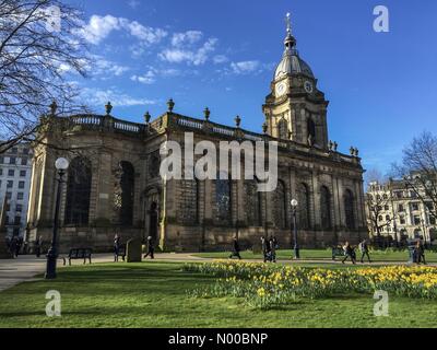 Birmingham, Regno Unito. Il 15 marzo 2017. Pendolari a piedi al lavoro passato San Filippo's Cathedral di Birmingham, godendo la molla come meteo, con masse di colore giallo brillante narcisi in primo piano. Credito: Gary Parker / StockimoNews/Alamy Live News Foto Stock