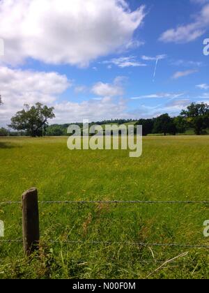 Regno Unito: Meteo Sole e caldo nel Berkshire campagna nei pressi di lettura, Foto Stock