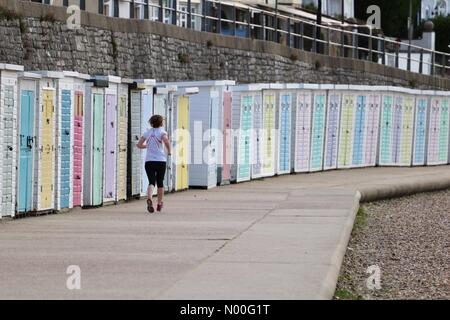 Lyme Regis, Dorset, Regno Unito. 29 Luglio, 2017. Regno Unito: meteo nuvoloso mattina a Lyme Regis Dorset. Sabato 29 Luglio 2017. Credito: CoCoJones / StockimoNews/Alamy Live News Foto Stock