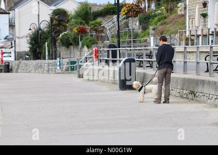 Lyme Regis, Dorset, Regno Unito. 29 Luglio, 2017. Regno Unito: meteo nuvoloso mattina a Lyme Regis Dorset. Sabato 29 Luglio 2017. Credito: CoCoJones / StockimoNews/Alamy Live News Foto Stock