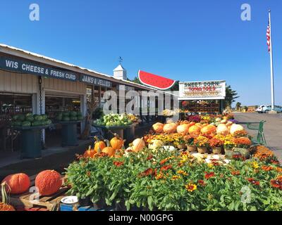 Us-14, arena, Wisconsin, Stati Uniti d'America. Xiii Sep, 2017. mercato azienda lungo l'autostrada 14 vicino arena città, Wisconsin, Stati Uniti che fattoria vendita prodotti freschi e zucche di Halloween. Credito: irkin09/stockimonews/alamy live news Foto Stock