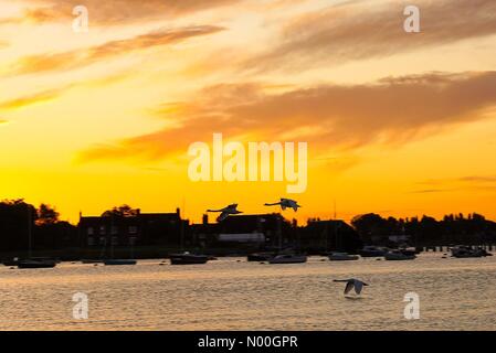 Bosham, porto modo, chidham, UK. 14 settembre 2017. uk meteo: sunrise.eliminazione la copertura nuvolosa durante la notte ha portato ad uno splendido inizio di giornata sulla costa sud. sunrise over bosham, w sussex. Credito: jamesjagger/stockimonews/alamy live news Foto Stock