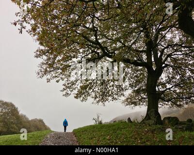 Meteo nel Regno Unito: Coperto e spruzzato a Chorley, Lancashire. Camminate ad Anglezarke vicino a Chorley in un giorno d'autunno noioso e umido Foto Stock