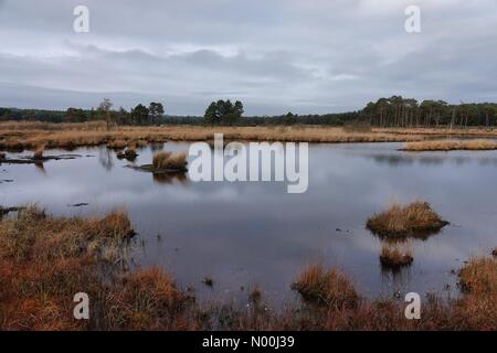 Elstead, Regno Unito. 2 dicembre 2017. Tempo nel Regno Unito: Freddo ma secco a Elstead. Thursley Rd, Elstead. 2 dicembre 2017. Condizioni fredde ma asciutte nelle contee di Home oggi. Elstead Moat vicino a Godalming nel Surrey. Crediti: Jamesjagger/StockimoNews/Alamy Live News Foto Stock