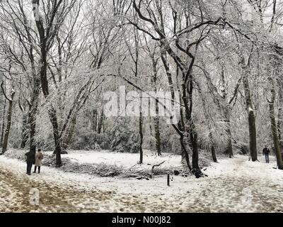 Persone di godere la neve in legno di Highgate a Londra il domenica 10 dicembre 2017 Credit: Louisa Cook/StockimoNews/Alamy Live News Foto Stock