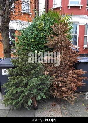 Londra, Regno Unito. 8 gennaio, 2018. Londra, Regno Unito. 8 Gen, 2018. Scartare gli alberi di Natale al di fuori di una casa a Muswell Hill a Londra 2 giorni dopo l'epifania dell 8 gennaio 2018 Credit: Louisa Cook/StockimoNews/Alamy Live News Credito: Louisa Cook/StockimoNews/Alamy Live News Foto Stock