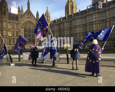 Londra, Regno Unito. Il 30 gennaio, 2018. Mezzi Brexit Brexit attivisti case al di fuori del Parlamento. Credito: Expo foto/StockimoNews/Alamy Live News Foto Stock