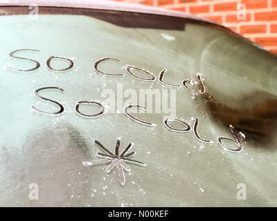 Regno Unito Meteo: Frosty in Godalming. Sycamore Avenue, Godalming. Il 16 febbraio 2018. Meteo invernale è persistito per la Home Counties questa mattina. Il pupazzo di neve a Godalming in Surrey. Credito: jamesjagger/StockimoNews/Alamy Live News Foto Stock