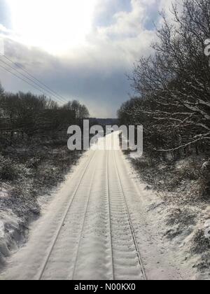 Norwich, Norfolk, Regno Unito. Il 28 febbraio 2018. Neve sul treno via U.K. Inghilterra Norwich Norfolk Credito: GingersPictures/StockimoNews/Alamy Live News Foto Stock