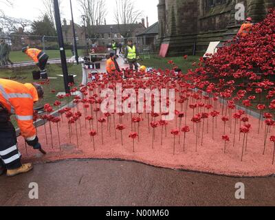 Cattedrale di Hereford, Regno Unito. Decimo Mar, 2018. Finestra di pianto installazione Cattedrale di Hereford - Hereford REGNO UNITO sabato 10 marzo 2018 lavoratori aggiungi papaveri in ceramica per il WW1 piange la finestra di installazione di arte che si apre la prossima settimana. Credito: Steven Maggio/StockimoNews/Alamy Live News Foto Stock