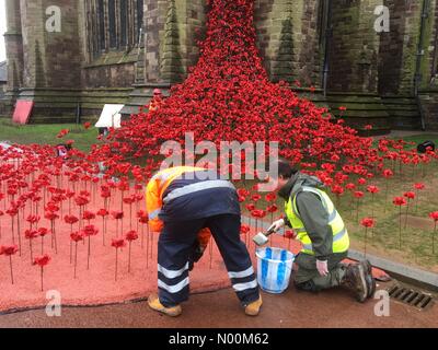 Cattedrale di Hereford, Regno Unito. Decimo Mar, 2018. Finestra di pianto installazione Cattedrale di Hereford - Hereford REGNO UNITO sabato 10 marzo 2018 lavoratori aggiungi papaveri in ceramica per il WW1 piange la finestra di installazione di arte che si apre la prossima settimana. Credito: Steven Maggio/StockimoNews/Alamy Live News Foto Stock