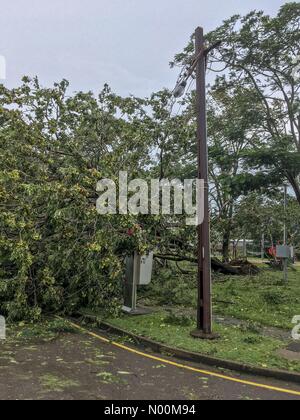 Darwin, in Australia. Il 17 marzo 2018. Il danno fatto in Darwin la capitale del Territorio Settentrionale dell Australia su 2018.03.17 dal ciclone tropicale Marcus - Marcus è stato una categoria 2 ciclone - Credit: Regis Martin/StockimoNews/Alamy Live News Foto Stock