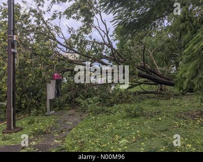 Darwin, in Australia. Il 17 marzo 2018. Il danno fatto in Darwin la capitale del Territorio Settentrionale dell Australia su 2018.03.17 dal ciclone tropicale Marcus - Marcus è stato una categoria 2 ciclone - Credit: Regis Martin/StockimoNews/Alamy Live News Foto Stock