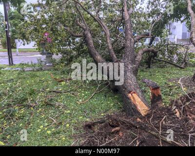 Darwin, in Australia. Il 17 marzo 2018. Il danno fatto in Darwin la capitale del Territorio Settentrionale dell Australia su 2018.03.17 dal ciclone tropicale Marcus - Marcus è stato una categoria 2 ciclone - Credit: Regis Martin/StockimoNews/Alamy Live News Foto Stock