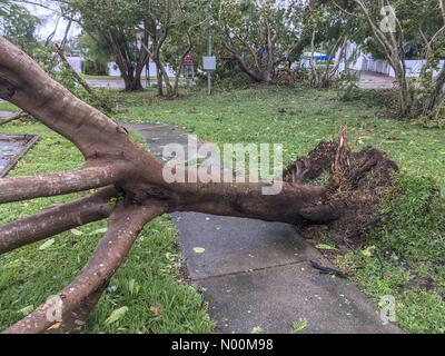 Darwin, in Australia. Il 17 marzo 2018. Il danno fatto in Darwin la capitale del Territorio Settentrionale dell Australia su 2018.03.17 dal ciclone tropicale Marcus - Marcus è stato una categoria 2 ciclone - Credit: Regis Martin/StockimoNews/Alamy Live News Foto Stock