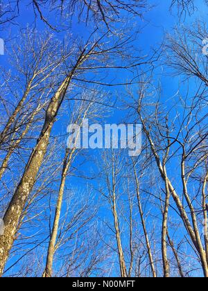 Waukesha, WI, Stati Uniti d'America, 19 marzo 2018, la maggior parte della neve fusa e il sole splendeva sulle piste a Retzer Centro Natura di Southeastern Wisconsin, DianaJ/StockimoNews/Alamy Credito: Diana J./StockimoNews/Alamy Live News Foto Stock