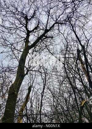 Giorno nuvoloso, waukesha, WI, STATI UNITI D'AMERICA del 2 aprile 2018, nonostante le nuvole il tempo era abbastanza caldo per una passeggiata nella natura, dove i resti di inverno e segni di primavera erano evidenti, DianaJ/StockimoNews/Alamy Foto Stock