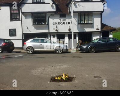 Allentate, Maidstone Kent REGNO UNITO. Sabato 14 Aprile 2018. Una grande buca al di fuori il Chequers Inn nel villaggio di allentato è stato utilizzato per piantare fiori. Photo credit. Howard Marsh/Alamy Live News Credito: Howard Marsh/StockimoNews/Alamy Live News Foto Stock