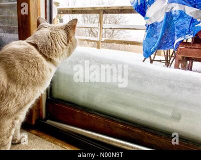 Tempesta di neve di primavera in Wisconsin, 15 aprile 2018, la neve e il ghiaccio rientrano in un freak tempesta di neve di primavera in Wisconsin, che colpiscono le case e la natura, DianaJ/StockimoNews/Alamy Foto Stock