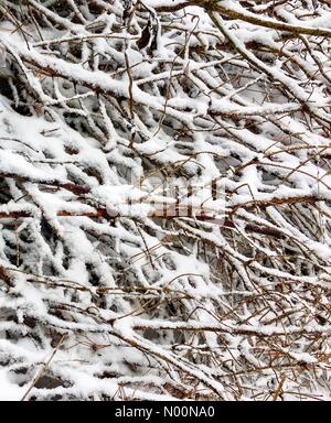 Tempesta di neve di primavera in Wisconsin, 15 aprile 2018, la neve e il ghiaccio rientrano in un freak tempesta di neve di primavera in Wisconsin, che colpiscono le case e la natura, DianaJ/StockimoNews/Alamy Foto Stock