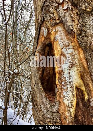 Tempesta di neve di primavera in Wisconsin, 15 aprile 2018, la neve e il ghiaccio rientrano in un freak tempesta di neve di primavera in Wisconsin, che colpiscono le case e la natura, DianaJ/StockimoNews/Alamy Foto Stock