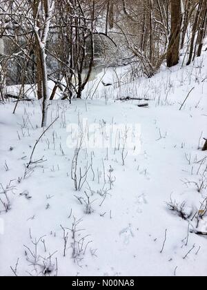 Tempesta di neve di primavera in Wisconsin, 15 aprile 2018, la neve e il ghiaccio rientrano in un freak tempesta di neve di primavera in Wisconsin, che colpiscono le case e la natura, DianaJ/StockimoNews/Alamy Foto Stock